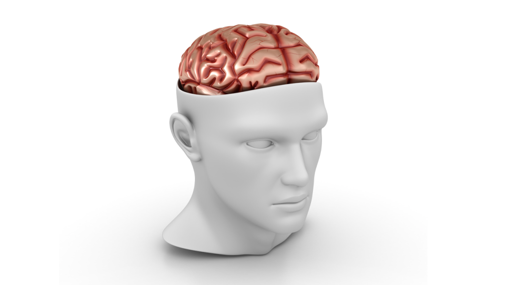 Como a neurociência interfere no aprendizado de uma nova língua?